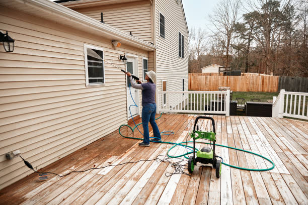 Best Roof Pressure Washing  in Scottville, MI