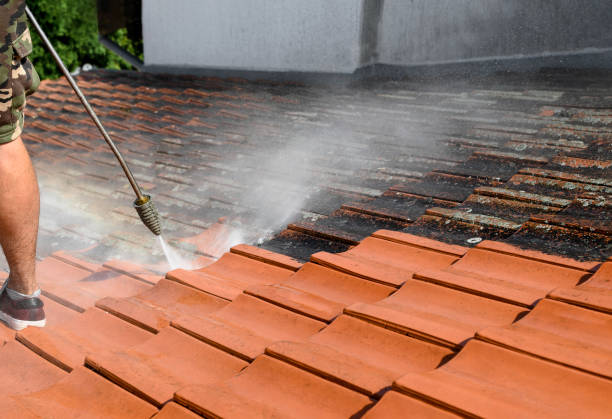 Best Local Pressure Washing Services  in Scottville, MI