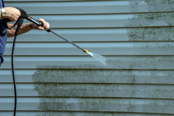 Pressure Washing Contractors in Scottville, MI