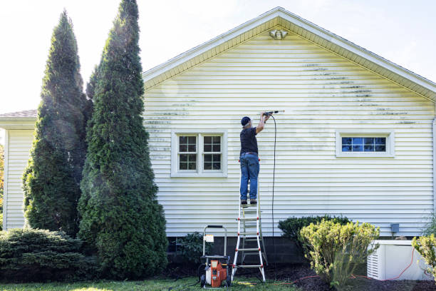Best Power Washing Near Me  in Scottville, MI