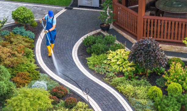 Best House Pressure Washing  in Scottville, MI